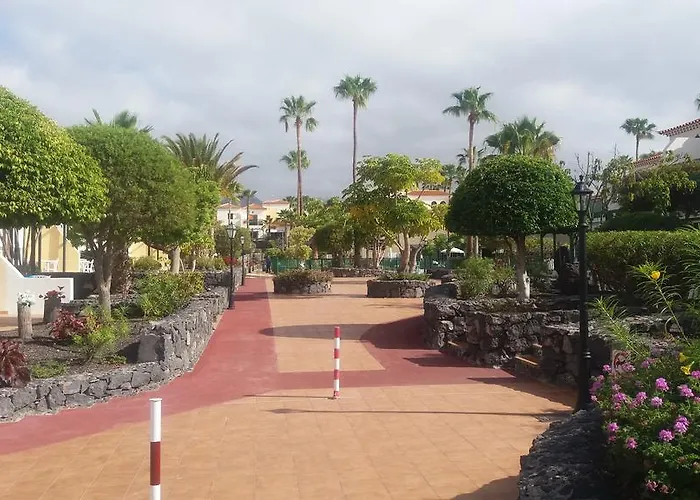 Adelfas 2 San Miguel de Abona