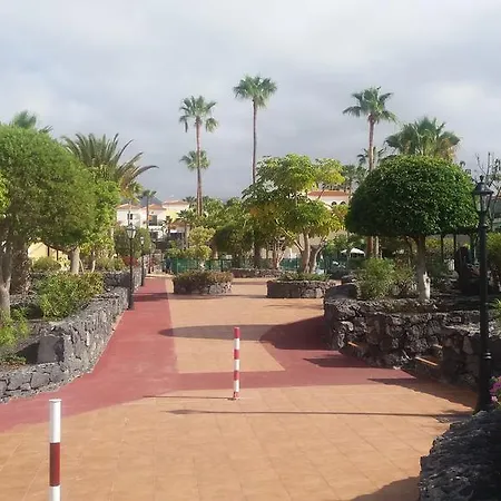 Adelfas 2 San Miguel de Abona